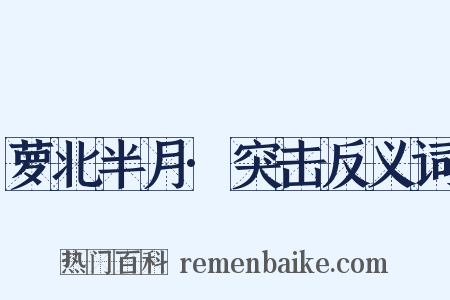 萝北半月·突击反义词是什么意思的图片